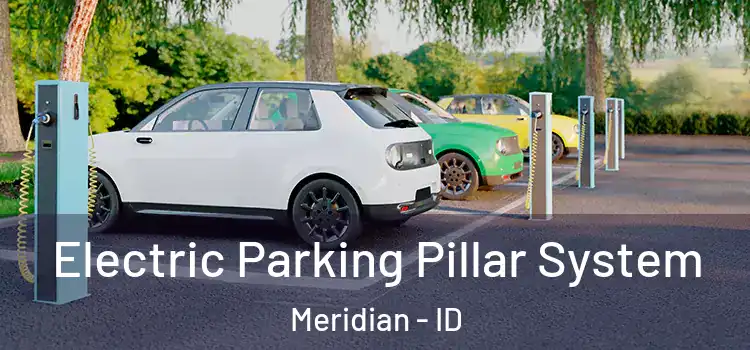  Electric Parking Pillar System Meridian - ID