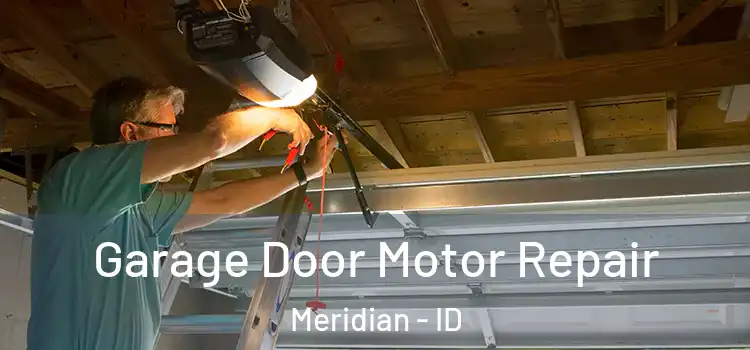  Garage Door Motor Repair Meridian - ID