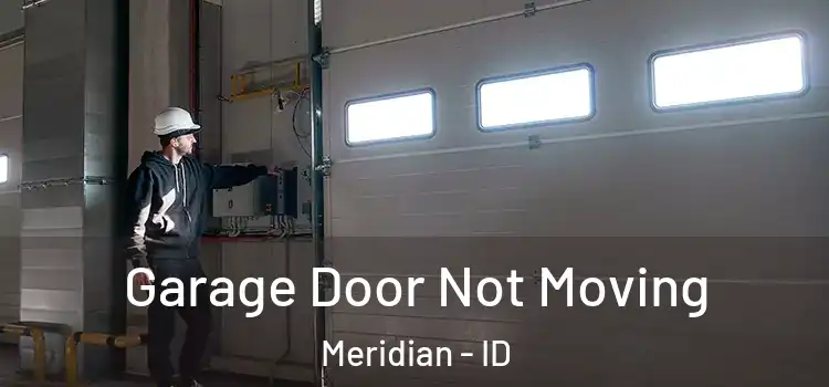  Garage Door Not Moving Meridian - ID