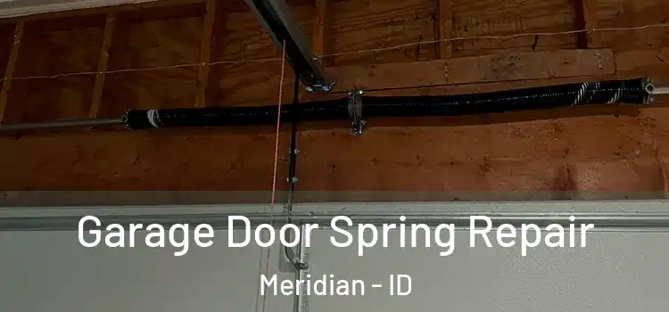  Garage Door Spring Repair Meridian - ID