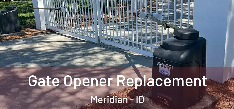  Gate Opener Replacement Meridian - ID