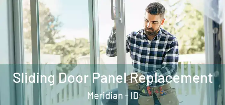  Sliding Door Panel Replacement Meridian - ID